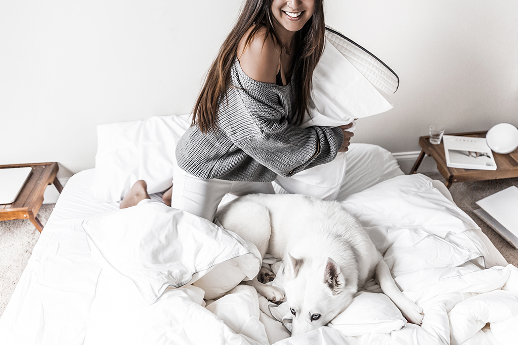 tomorrow mattress review pillow fight